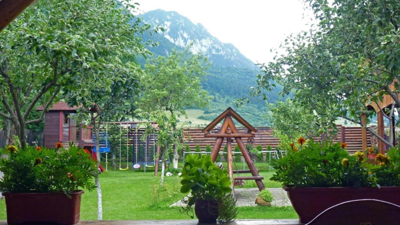 Отель Sura Pietrei Craiului Зэрнешти Экстерьер фото